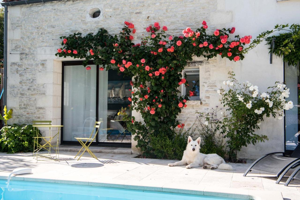 Le Logis De La Brumanderie - Saintes Fontcouverte  Exterior photo