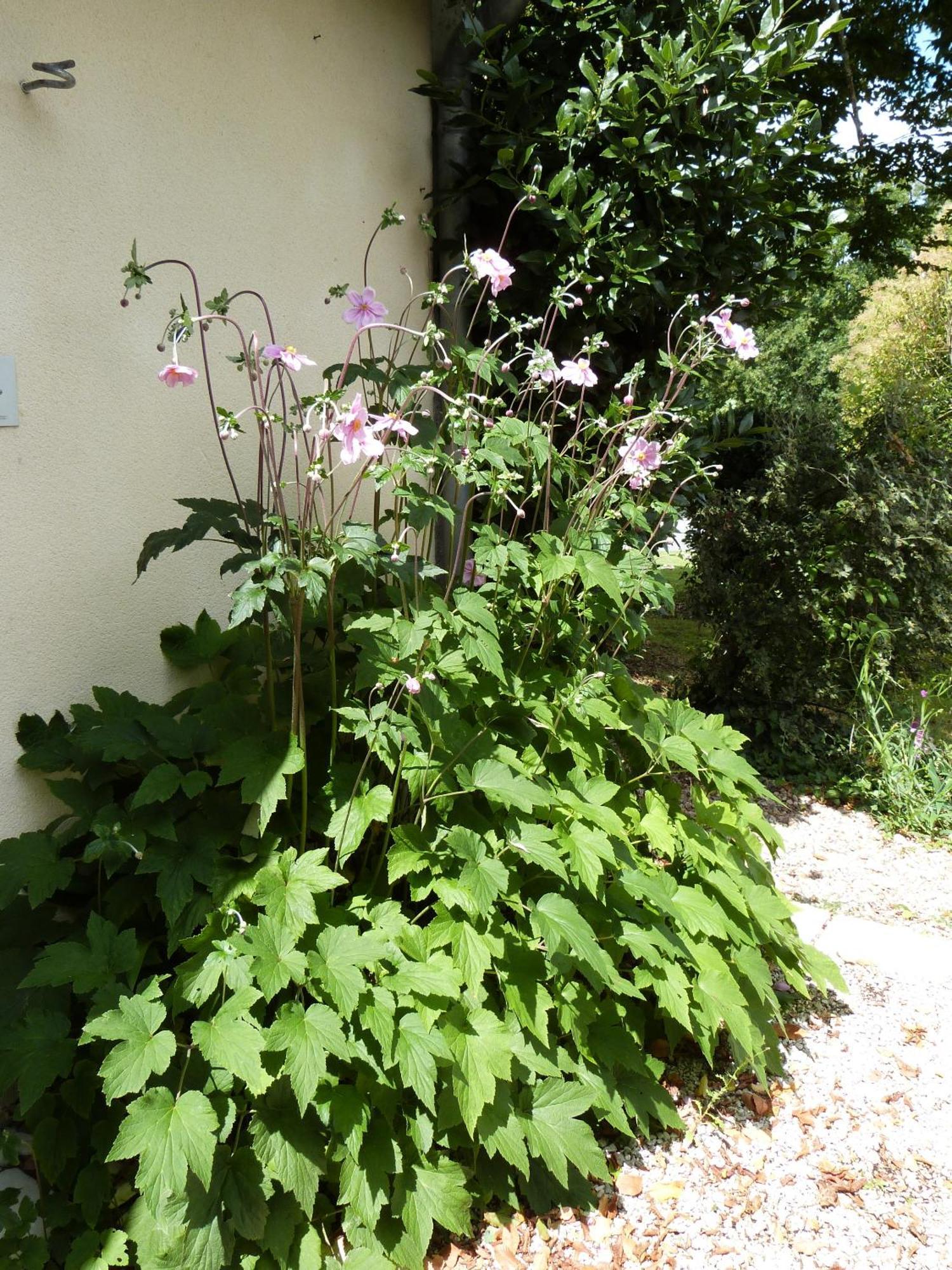 Le Logis De La Brumanderie - Saintes Fontcouverte  Room photo